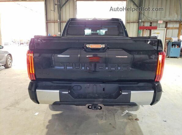 5TFJC5DB2PX018442 2023 TOYOTA LIMITED Black 