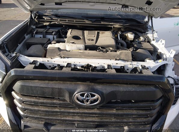5TFKB5DB6SX301085 2025 TOYOTA TUNDRA White Widok z tyłu