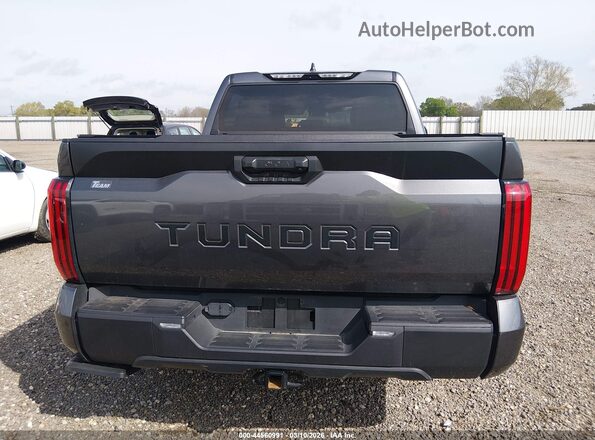 5TFLA5AB2SX041960 2025 TOYOTA TUNDRA Gray 