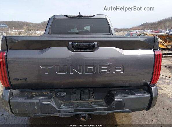 5TFLA5DB2RX169072 2024 TOYOTA TUNDRA Gray 