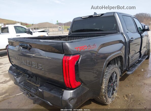 5TFLA5DB2RX169072 2024 TOYOTA TUNDRA Gray Tył prawy