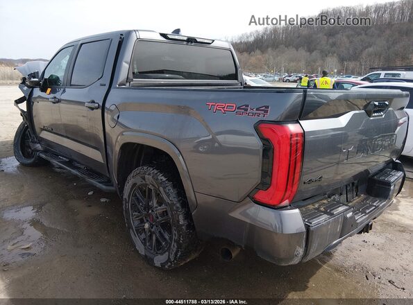 5TFLA5DB2RX169072 2024 TOYOTA TUNDRA Gray Tył lewy