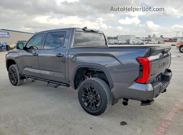 5TFLA5DB2RX201258 2024 TOYOTA TUNDRA Серый Задняя левая четверть