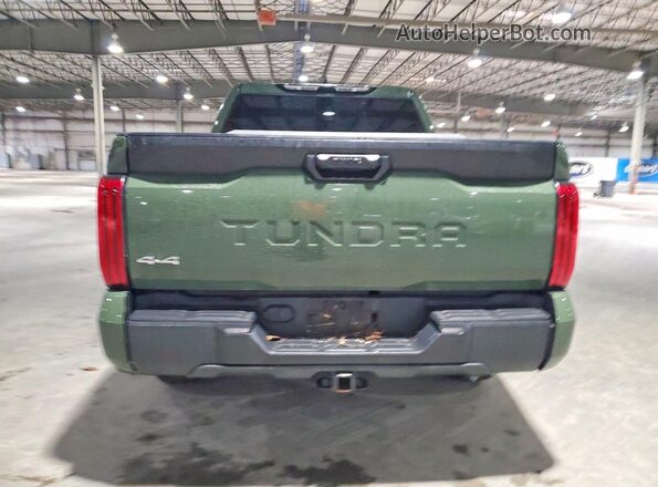 5TFLA5DB6NX041850 2022 TOYOTA TUNDRA Зеленый Вид сзади