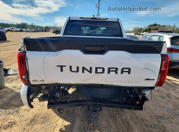 5TFLA5DB7TX339501 2026 TOYOTA TUNDRA White Widok z tyłu