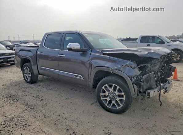5TFMA5AB0PX02227X 2023 TOYOTA TUNDRA Gray წინა მარჯვენა