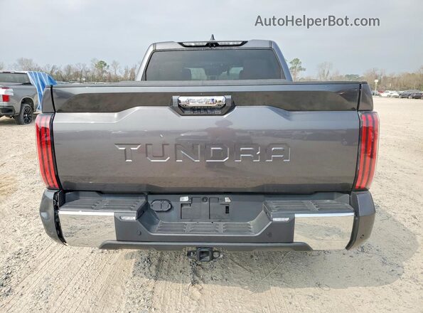 5TFMA5AB0PX02227X 2023 TOYOTA TUNDRA Gray უკანა ხედი