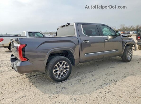 5TFMA5AB0PX02227X 2023 TOYOTA TUNDRA Gray უკანა მარჯვენა