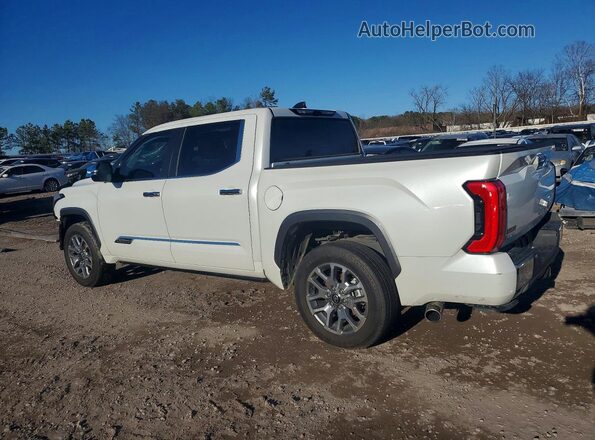 5TFMA5DB3SX326358 2025 TOYOTA TUNDRA White Tył lewy