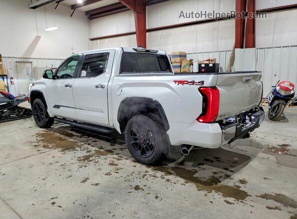 5TFMA5DB8SX278761 2025 TOYOTA TUNDRA Серебряный Задняя левая четверть