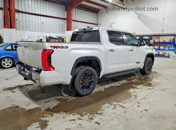 5TFMA5DB8SX278761 2025 TOYOTA TUNDRA Серебряный Задняя правая четверть