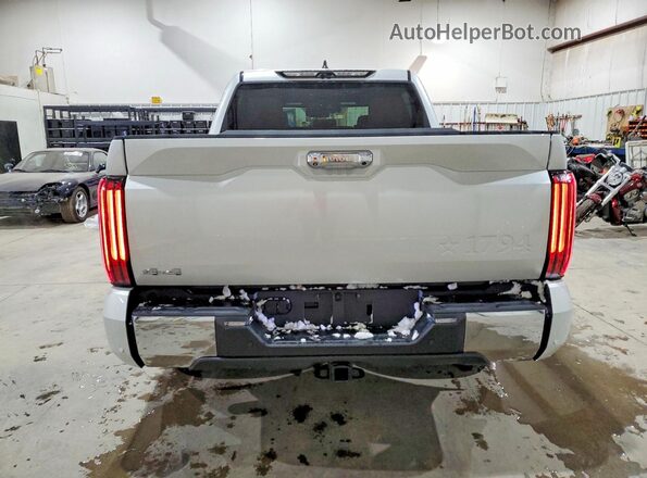 5TFMA5DB8SX278761 2025 TOYOTA TUNDRA Серебряный Вид сзади