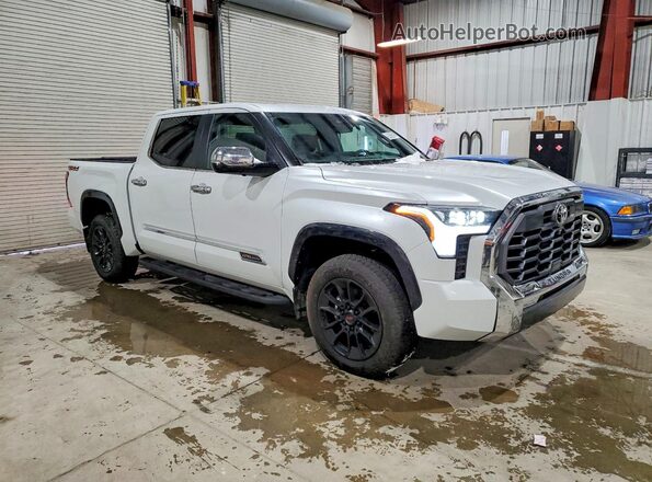 5TFMA5DB8SX278761 2025 TOYOTA TUNDRA Серебряный Передняя правая четверть