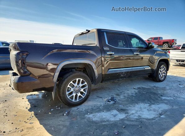 5TFMC5DB1RX048323 2024 TOYOTA TUNDRA Brown Задня права чверть