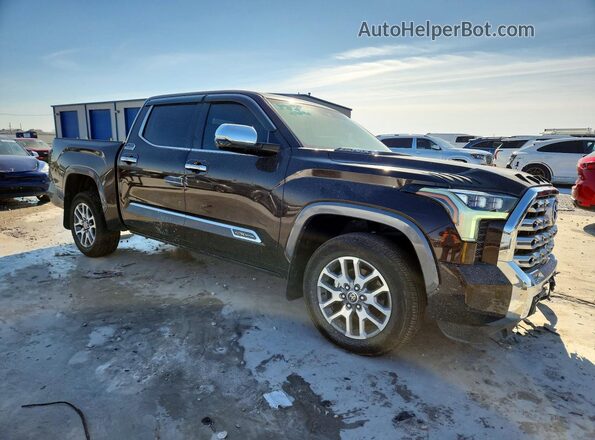 5TFMC5DB1RX048323 2024 TOYOTA TUNDRA Brown Передня права чверть