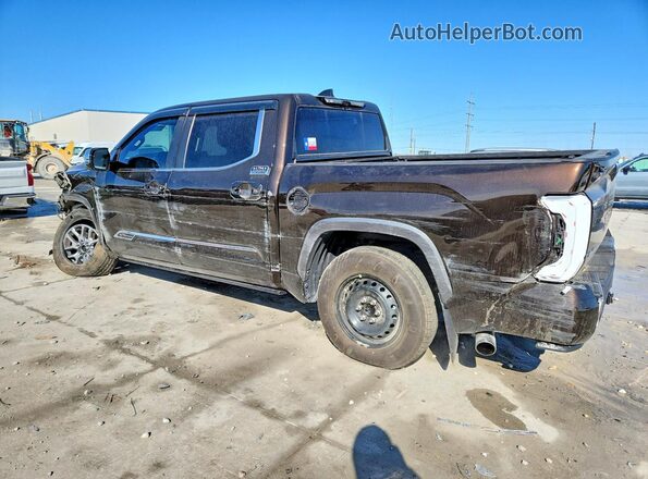 5TFMC5DB1RX048323 2024 TOYOTA TUNDRA Brown Задня ліва чверть
