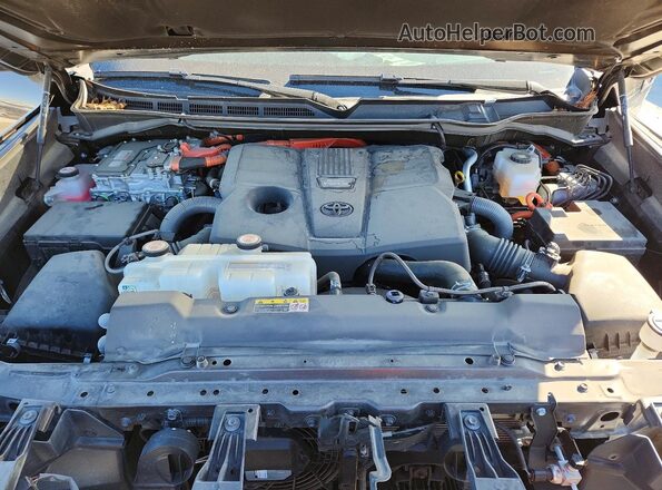 5TFMC5DB1RX048323 2024 TOYOTA TUNDRA Brown Вид задньої частини салону