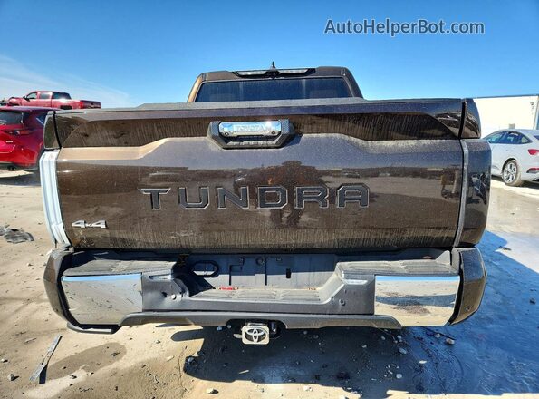 5TFMC5DB1RX048323 2024 TOYOTA TUNDRA Brown Вид ззаду