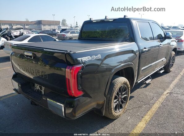 5TFMC5DB4RX076018 2024 TOYOTA TUNDRA HYBRID Black Tył prawy