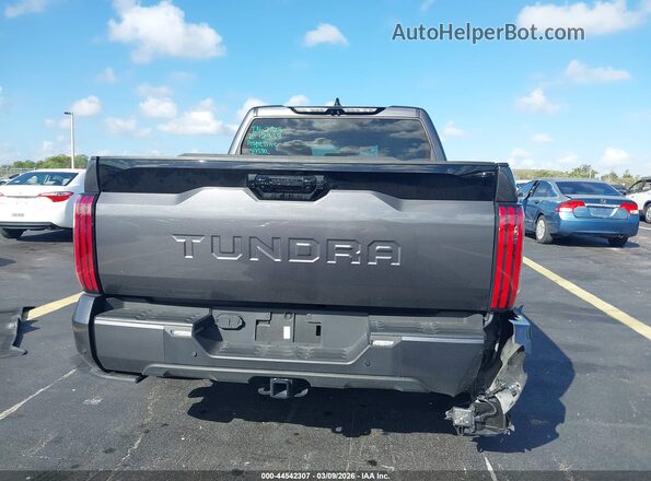 5TFNA5AB9PX025142 2023 TOYOTA TUNDRA Gray 