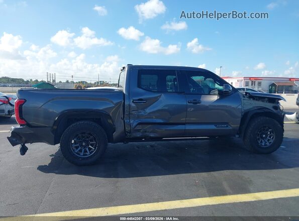 5TFNA5AB9PX025142 2023 TOYOTA TUNDRA Gray სალონის 360-გრადუსიანი ხედი
