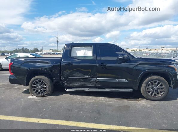 5TFNA5DB2SX318076 2025 TOYOTA TUNDRA Black 