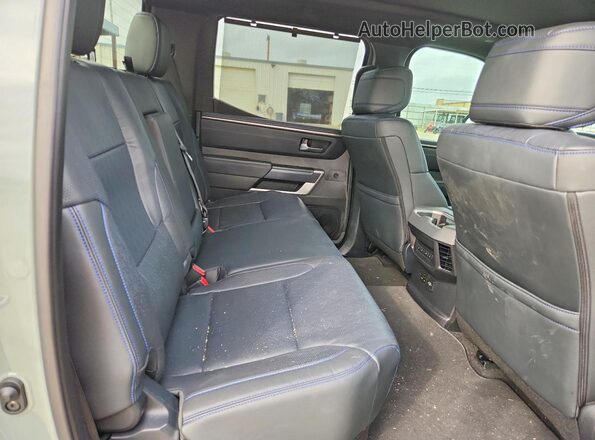 5TFNA5DB6SX327461 2025 TOYOTA TUNDRA Gray Vista de los asientos traseros