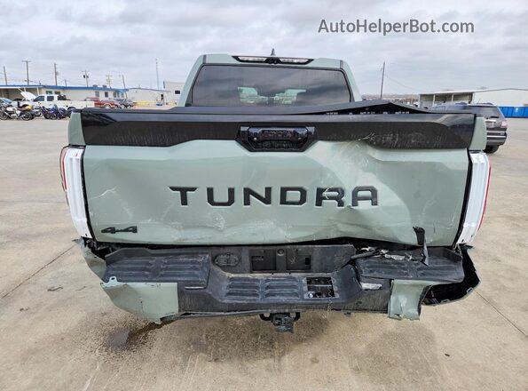 5TFNA5DB6SX327461 2025 TOYOTA TUNDRA Gray Vista trasera