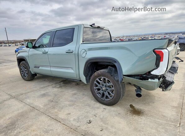 5TFNA5DB6SX327461 2025 TOYOTA TUNDRA Gray Trasero izquierdo