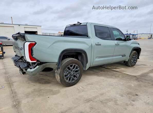 5TFNA5DB6SX327461 2025 TOYOTA TUNDRA Gray Trasero derecho