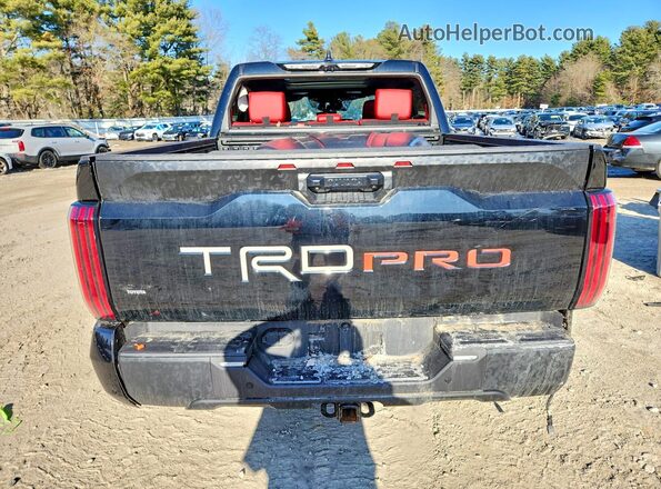5TFPC5DB3RX070806 2024 TOYOTA TUNDRA Black Rear view