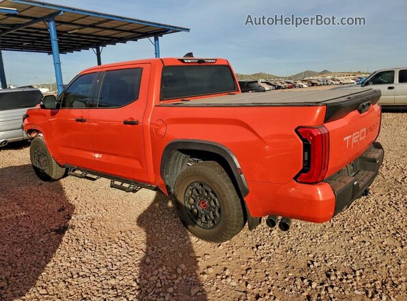 5TFPC5DB7PX027342 2023 TOYOTA LIMITED Orange უკანა მარცხენა