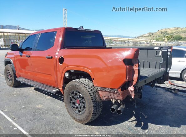 5TFPC5DB7RX085244 2024 TOYOTA TUNDRA HYBRID Maroon უკანა მარცხენა