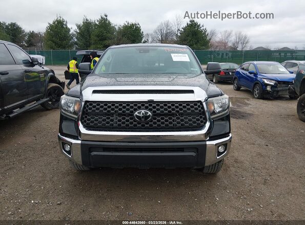 5TFRY5F19MX291138 2021 TOYOTA TUNDRA Black 