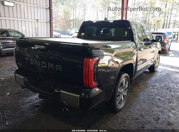 5TFVC5DB2PX026333 2023 TOYOTA TUNDRA HYBRID Black Rear right