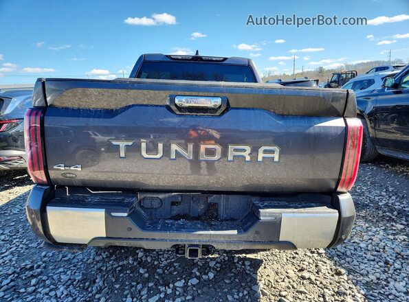 5TFVC5DB6PX015660 2023 TOYOTA TUNDRA Gray Rear view