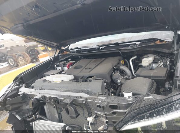 5TFWA5EC4RX035149 2024 TOYOTA LIMITED Gray Vista trasera