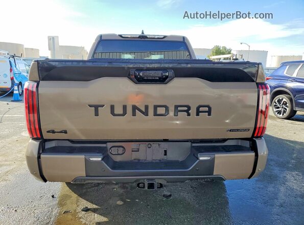 5TFWC5DB3TX123751 2026 TOYOTA TUNDRA Brown Vista trasera