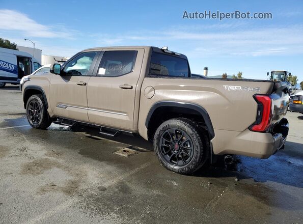 5TFWC5DB3TX123751 2026 TOYOTA TUNDRA Brown Vista de la etiqueta del VIN