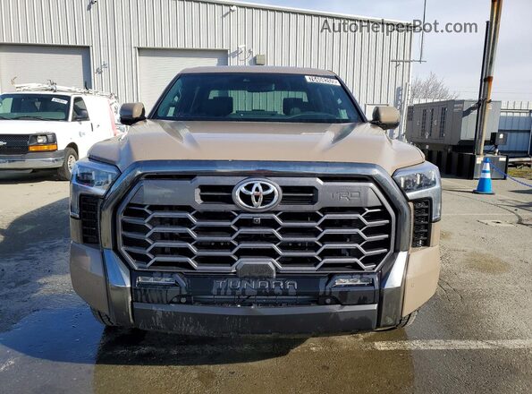 5TFWC5DB3TX123751 2026 TOYOTA TUNDRA Brown Vista frontal