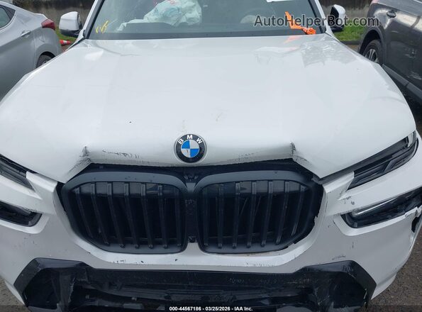 5UX23EM01P9P81669 2023 BMW X7 Белый Вид сзади