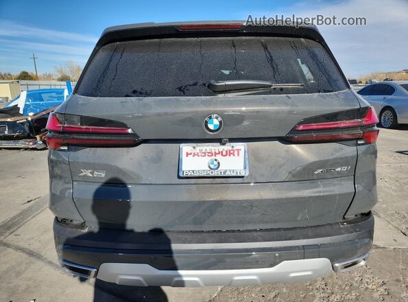 5UX23EU02T9165750 2026 BMW X5 Gray Widok z tyłu