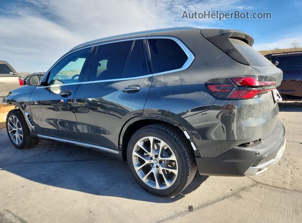 5UX23EU02T9165750 2026 BMW X5 Gray Tył lewy