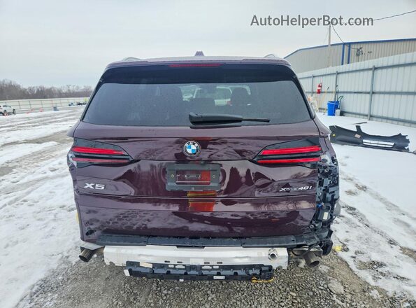 5UX23EU07R9V74397 2024 BMW X5 Purple უკანა ხედი
