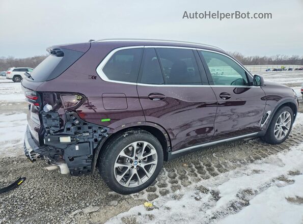 5UX23EU07R9V74397 2024 BMW X5 Purple უკანა მარჯვენა