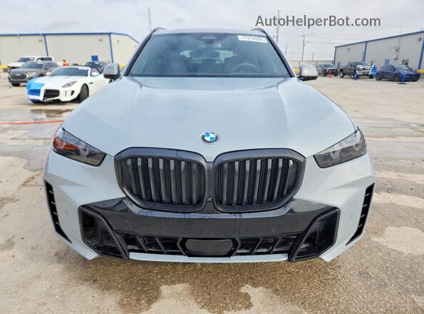 5UX23EU07S9Y88024 2025 BMW X5 Gray Front view