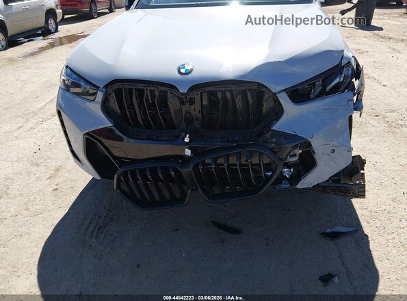 5UX33EX09T9232103 2026 BMW X6 Серый 
