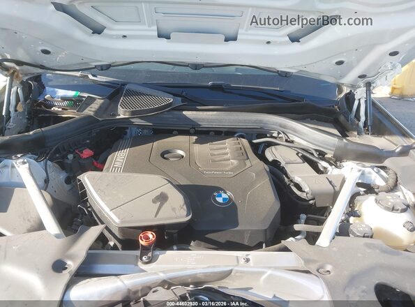 5UX43DP0XR9U43771 2024 BMW X3 White Вид ззаду