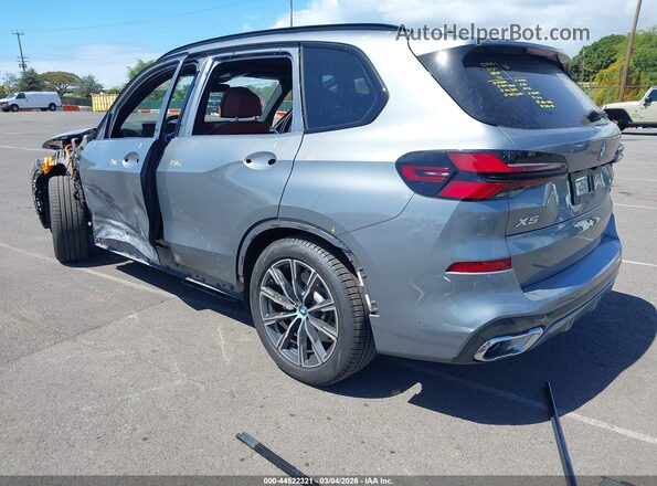 5UX43EU01R9S63167 2024 BMW X5 Silver Rear left