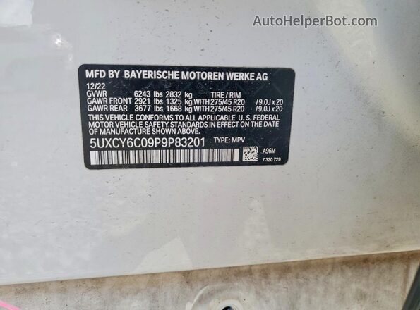 5UXCY6C09P9P83201 2023 BMW X6 White Панорамний вид салону 360°